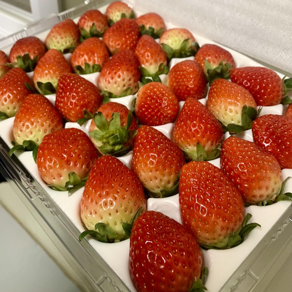 못났지만 맛있는 딸기